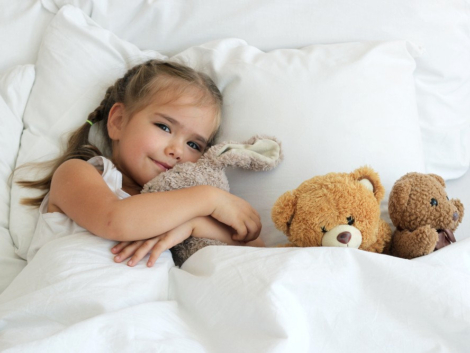 Como lavar bicho de pelúcia em rio preto - art clean lavanderia